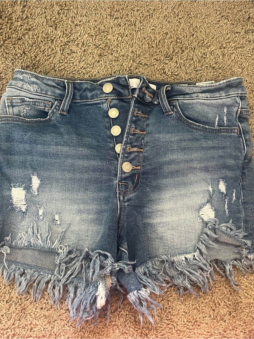 Frayed Hem Distressed Denim Shorts in Blue